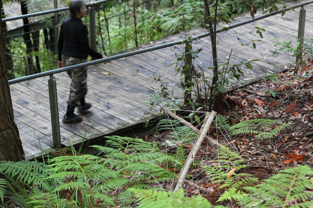 Scenic World photo by J-Bolitho H-Hock (3).JPG