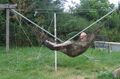 3 strut hammock by WV.jpg