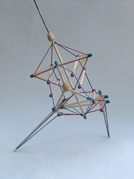 File:Albert sidebow Torso with Pelvis and Femurs by Flemons.jpg