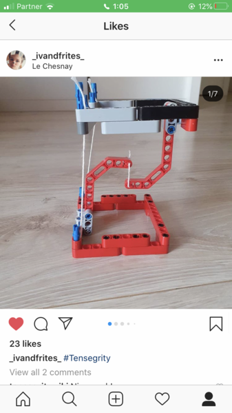 File:Ivandfrites -2020TensegrityChallenge.PNG