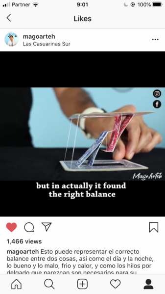 File:Magoarteh (2).2020TensegrityChallenge.PNG