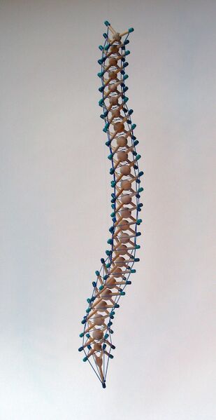 File:Nucleated tetra Vertebrate mast by Tom Flemons.jpg