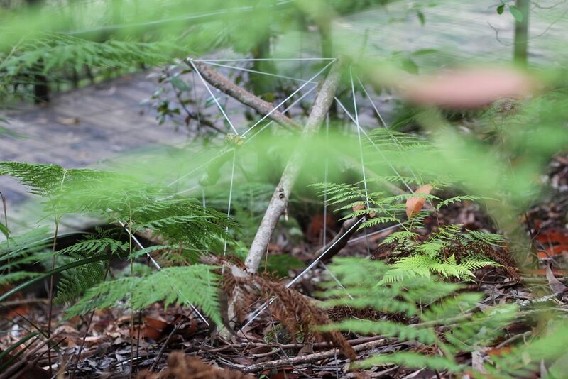 File:Scenic World photo by J-Bolitho H-Hock (4).JPG