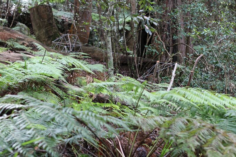 File:Scenic World photo by J-Bolitho H-Hock (6).JPG