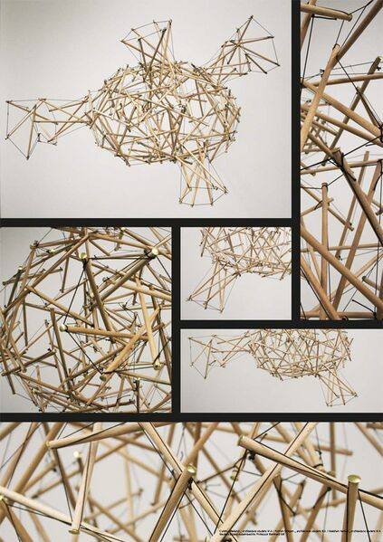 File:Tensegrity goes blob poster.jpg